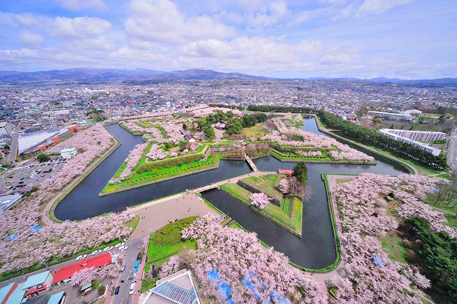 Sakura festivals are held across the country