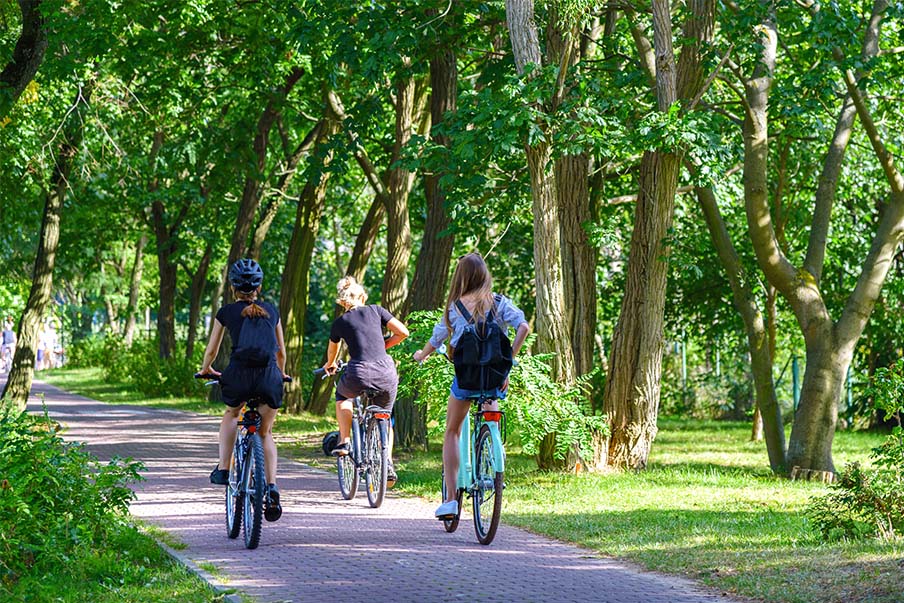 騎自行車、划獨木舟和騎馬