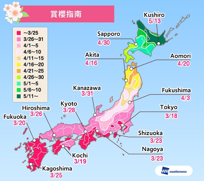 札幌4月30日，釧路5月13日，青森4月20日，秋田4月16日，福島從4月3日起，東京3月18日，靜岡3月23日，名古屋3月23日，金澤從3月31日起，京都從3月28日起， 廣島從3月26日，高知縣從3月19日，福岡市從3月20日，鹿兒島縣從3月25日