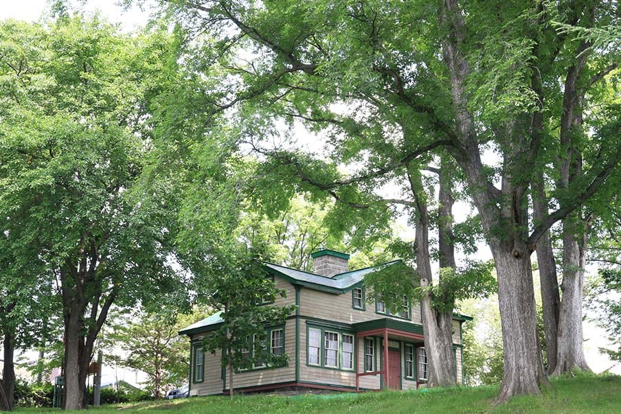 The house and surrounding area