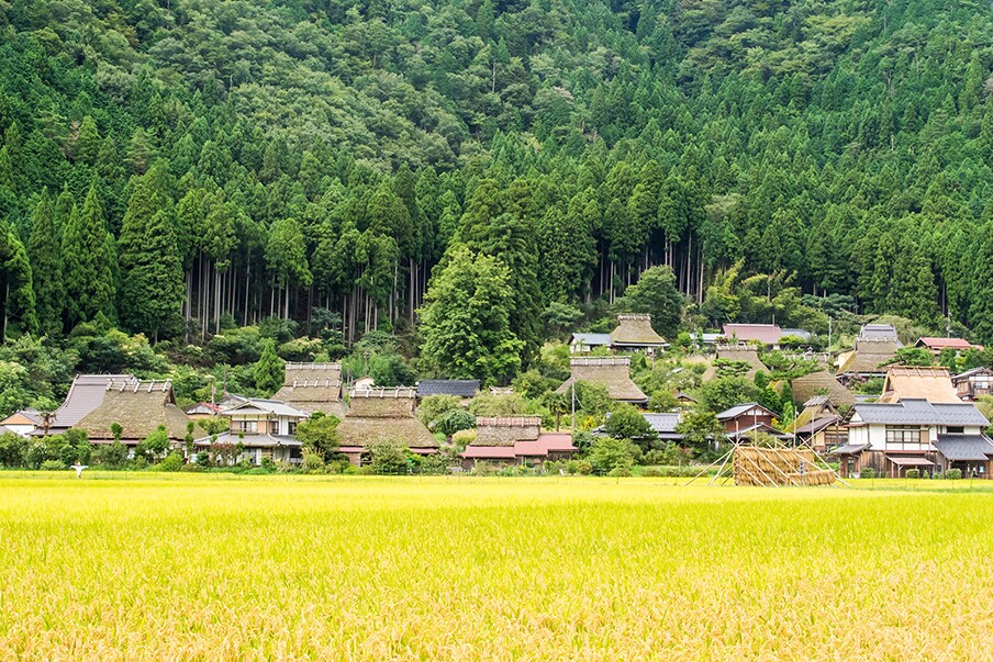 Kayabuki no Sato