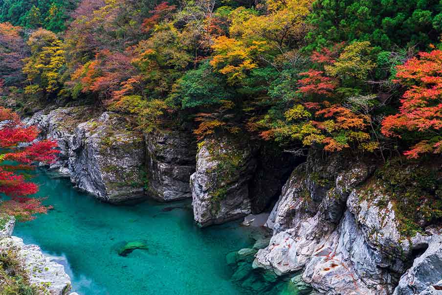 Go on an Adventure Travel Experience in Shikoku: the Land of the Ancient Gods