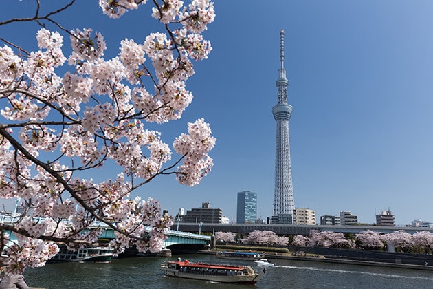 What to Do During a Layover at Narita International Airport