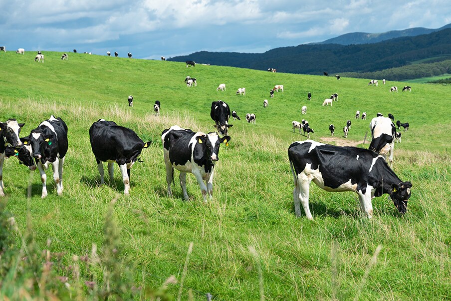 Hokkaido's unique climate and environment