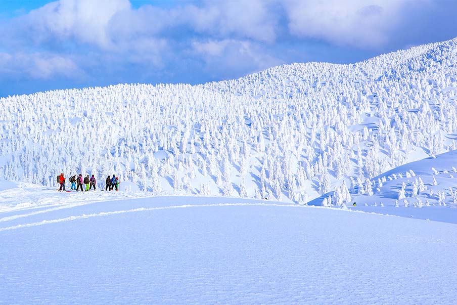 Các hoạt động ở Aomori vào mùa hè và mùa đông 