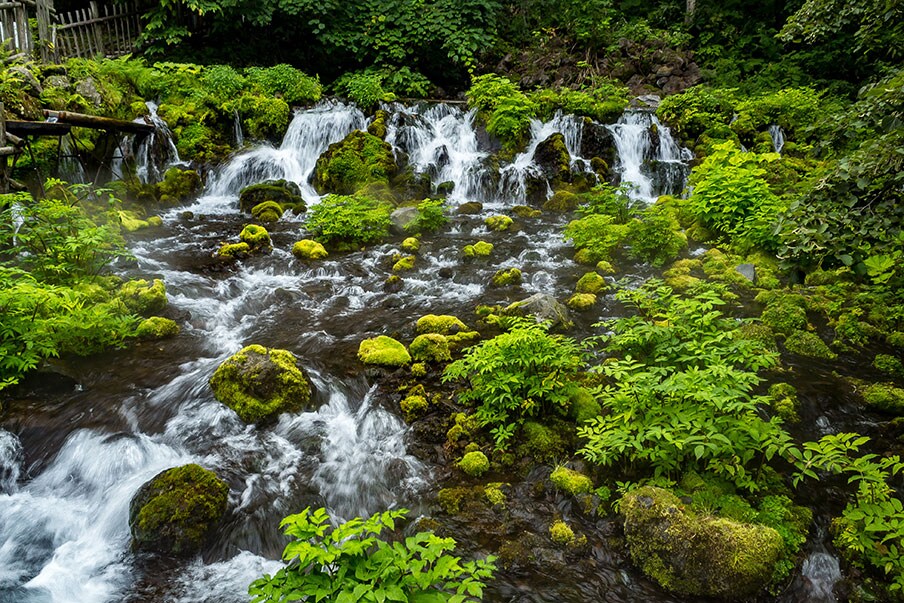 Revitalize your soul with fresh spring water directly from the mountain