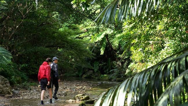 Waterfall in Yanbaru region in Okinawa island